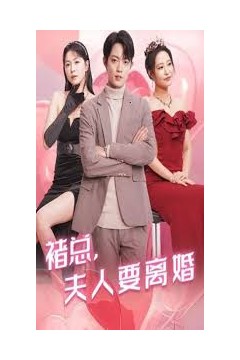 褚总夫人要离婚