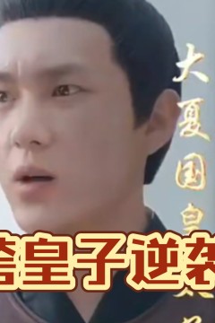 纨绔皇子逆袭记