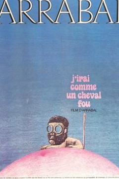 我像疯马般行走