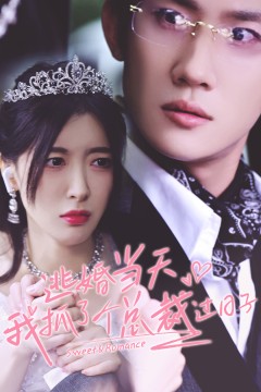 逃婚当天我抓了个总裁过日子