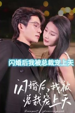 闪婚后，我被总裁老公宠上天