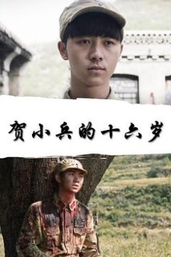 贺小兵的十六岁