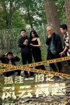 孤注一掷之风云再起