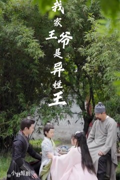 我家王爷是异性王