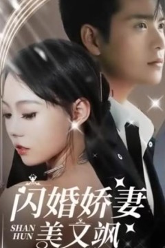 闪婚娇妻美又飒