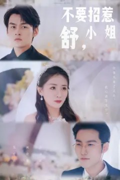 不要招惹舒小姐