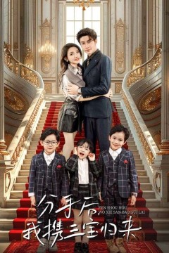 分手后，我携三宝归来