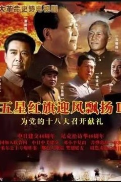 五星红旗迎风飘扬2