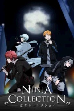 忍者收藏
