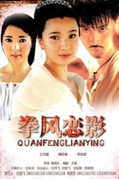 拳风恋影