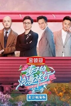 妻子的浪漫旅行2老公视角版