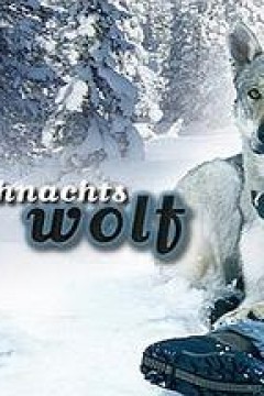 我会回来过圣诞