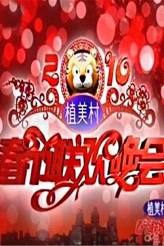 2010湖南卫视春节联欢晚会