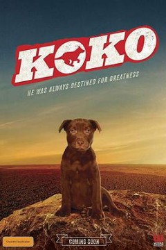 Koko红犬历险记