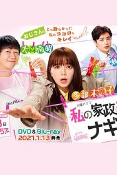 我的家政夫渚先生：新婚大叔特别篇