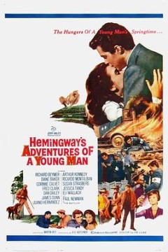 一个年轻人的冒险