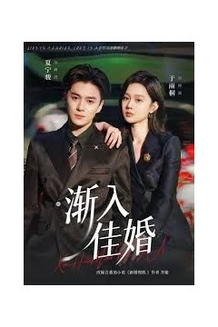渐入佳婚第一部