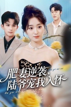 肥妻逆袭，陆爷宠我入怀