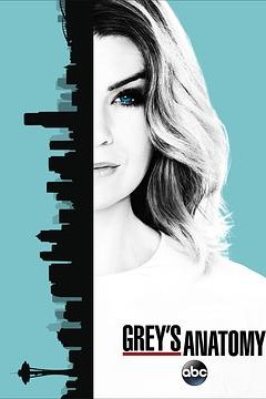 实习医生格蕾第十三季