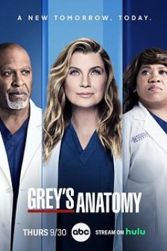 实习医生格蕾第十八季