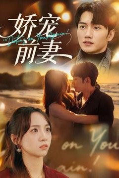 娇宠前妻