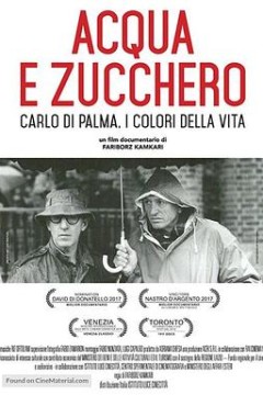 水与糖：摄影家卡洛·迪·帕尔马的生活与色彩