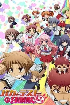 笨蛋，测验，召唤兽，续篇