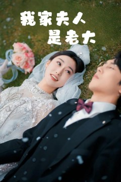 夫人竟然是大佬