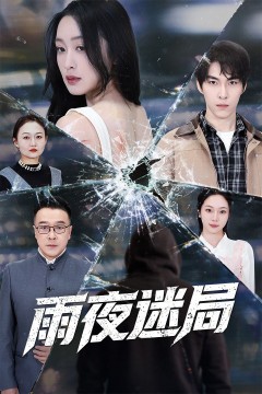 雨夜迷局(沉默的真相之雨夜原罪)