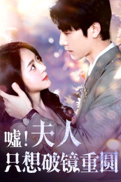 嘘！夫人只想破镜重