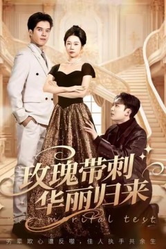 玫瑰带刺华丽归来(婚前测试他不配)