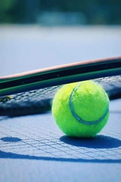 WTA俄斯特拉发站第四日：施拉姆科娃VS弗吕维尔托娃