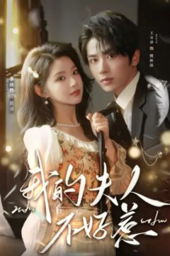 你好我的旅长夫人(我的夫人不好惹)