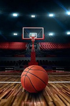 2月12日25-26赛季NBA常规赛 快船VS火箭