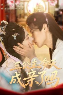 三公主今天成亲了吗