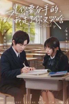 是你要分手的，我走了你又哭啥