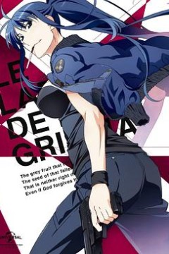 灰色的迷宫特典