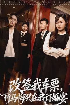 改签我车票，竹马悔哭在我订婚宴