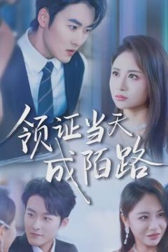领证当天成陌路