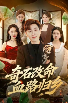 奇石改命血路归