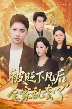 被贬下凡后全家乱套了