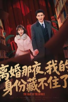 离婚那夜，我的身份藏不住了