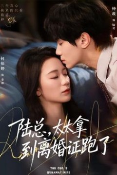 陆总，太太拿到离婚证跑了