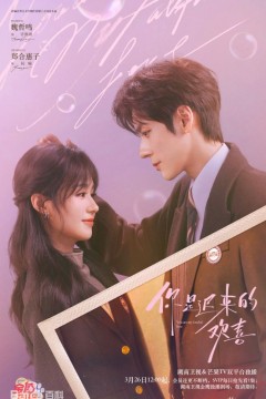 你是迟来的欢喜(2026)