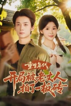 重生年代开局被老丈人拍了一板砖