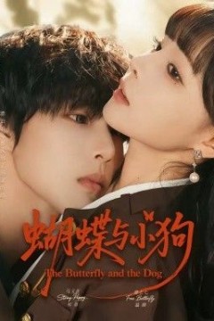 蝴蝶与小狗背景