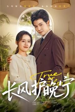 长风护晚宁背景