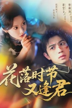 花落时节又逢君背景