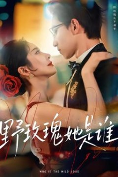 野玫瑰她是谁背景