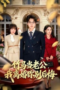 竹马当老公，我离婚你别后悔背景